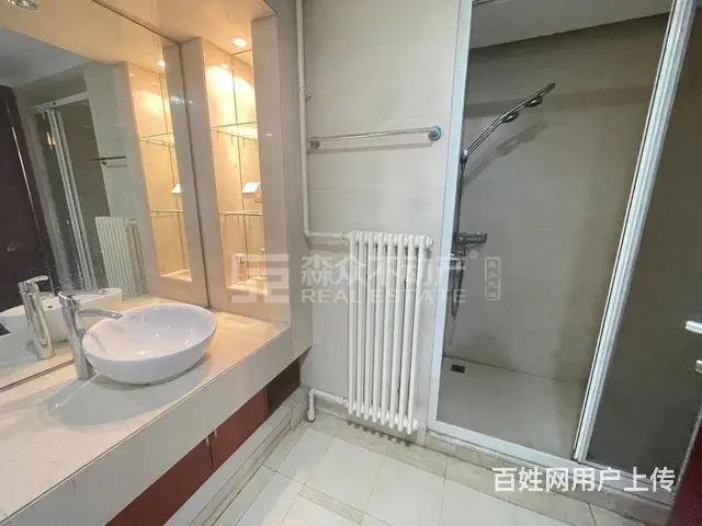 地铁房河畔花园五里河大厦(沈河) 普通住宅2厅 精装修 - 图片 9
