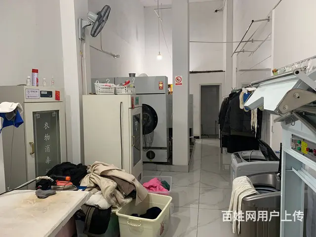 （老板本人）成熟小区盈利干洗店优价转让 5321 - 图片 4