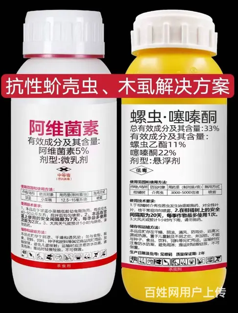 柑橘果树蚧壳虫木虱防治抗性木虱蚧壳虫解决方案 - 图片 6