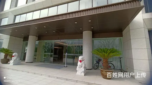 青洋高架旁 金新科创园 适合企业 会所 企业税收优惠政策 - 图片 4