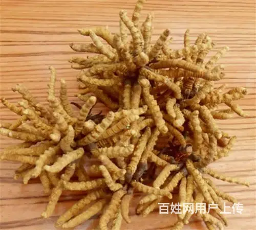 天河冬虫夏草回收价格-天河回收礼盒装虫草咨询 - 图片 11