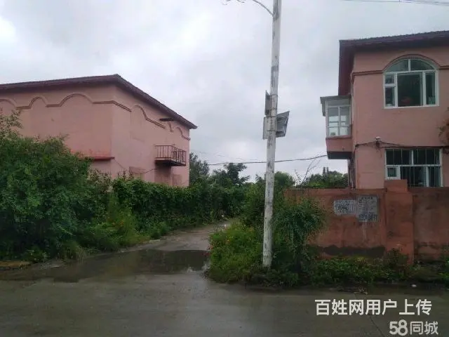 松北区中源大道厂房库房出租 - 图片 12