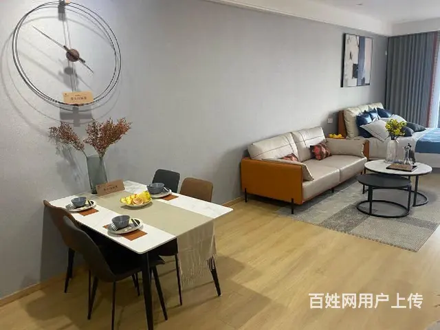 单价6999起，劳动西路现房公寓！带独立阳台，运河天地 - 图片 5