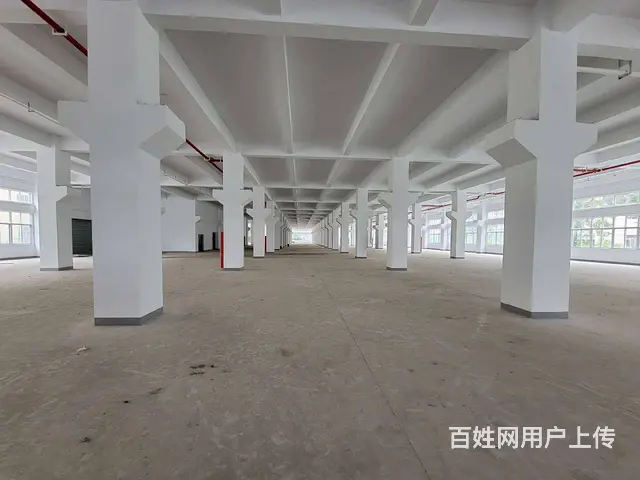古里全新独栋厂房每层5300平，配有4部3吨货梯，有食堂宿舍 - 图片 2