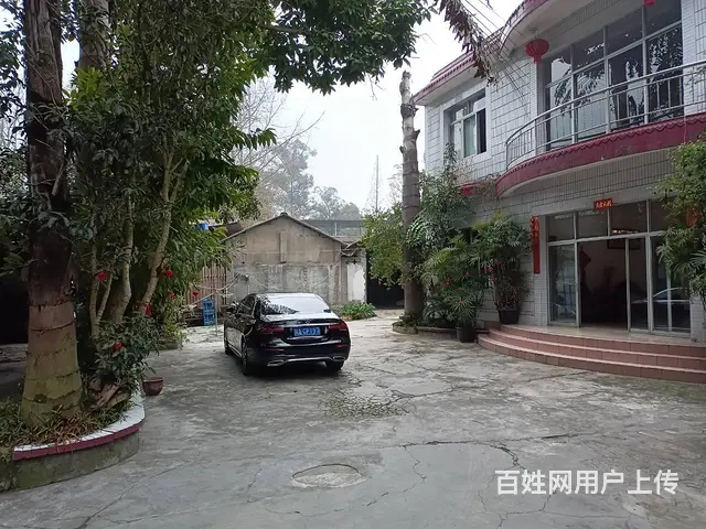 XSY温江进出方便库房出租不限业态 - 图片 4