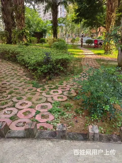 赤坎沿江华庭小区高层电梯观景舒适拎包入住小区房 - 图片 9