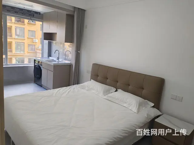 全新精装首次出租 - 图片 4