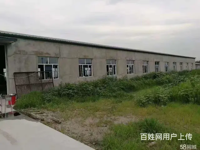 道里机场路薛家厂房出租 - 图片 2