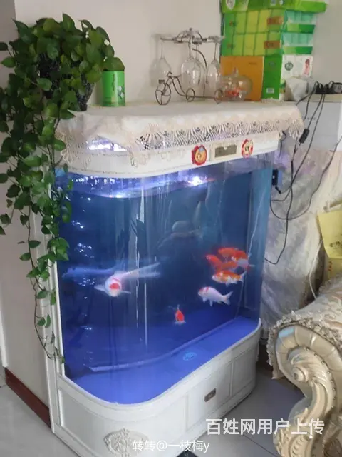 出售～欧式鱼缸《水族箱》 - 图片 3