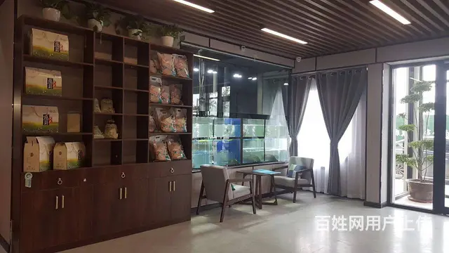 F0020永城市新城区亿丰广场创本活力城餐饮店整体转让 - 图片 3
