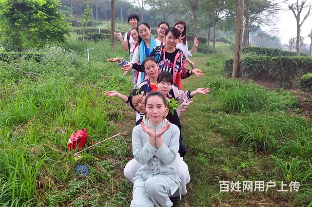 茶艺培训去哪里？ 天晟茶艺培训学校 - 图片 1