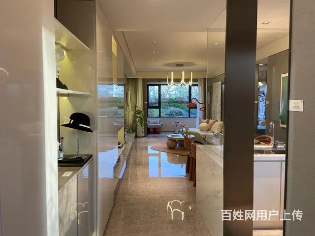 华侨城欢乐明湖，奥体旁明湖边，高端品质住宅，湖景房 - 图片 3