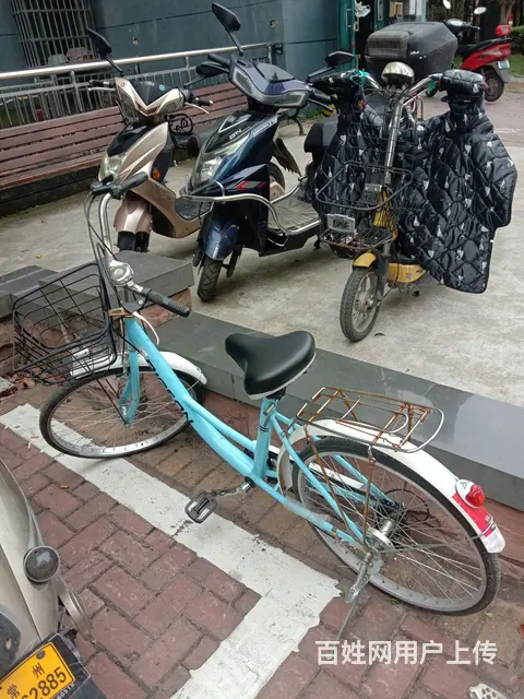 飞鸽自行车 - 图片 1