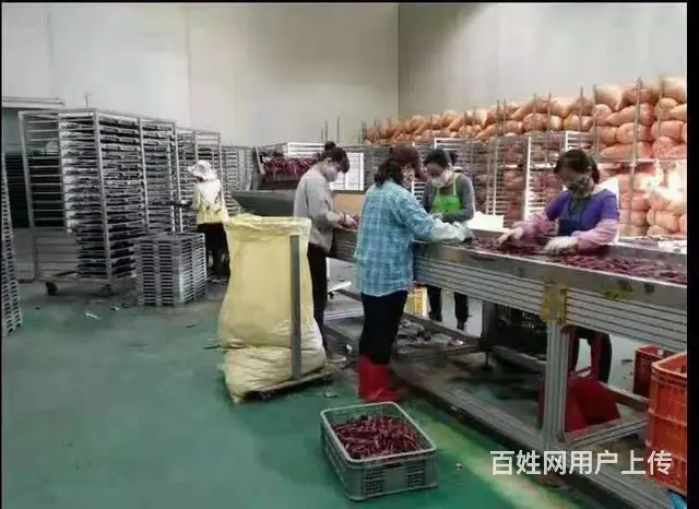 出国工作欧洲、澳洲、新西兰、香港澳门！不出全额退！ - 图片 6