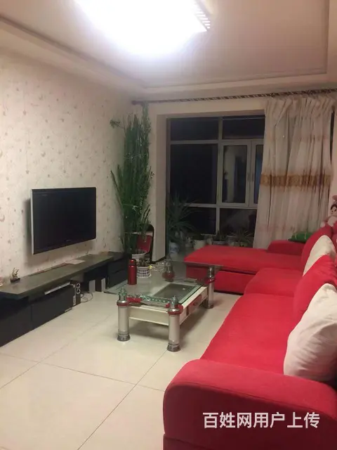 房屋出租 - 图片 1
