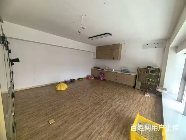 营盘街旺地精装自助宠物美容店出兑 - 图片 5
