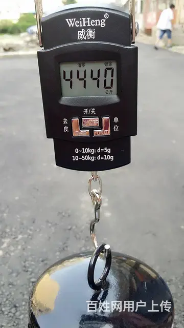 厂家大量批发交通设施铁立柱 - 图片 7