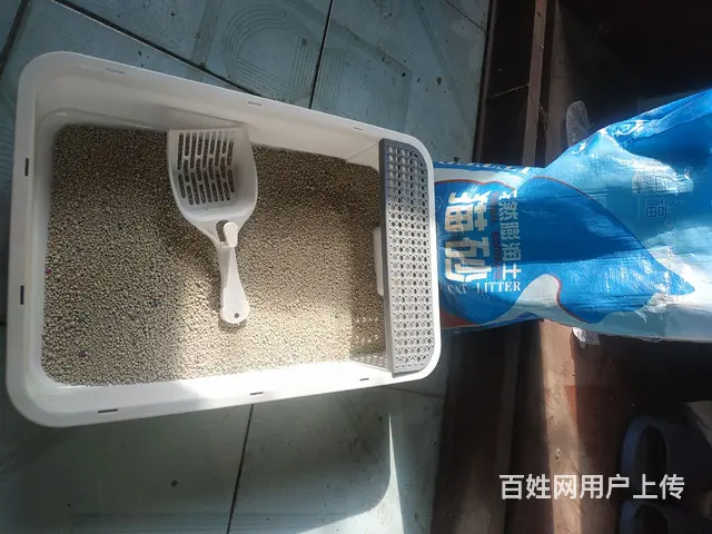 【搞定了！】猫沙和猫沙盆 - 图片 3