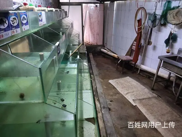 （51旺铺推荐）红沙230平空铺出租 - 图片 9