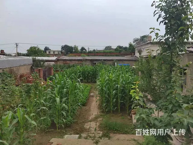 【搞定了！】水手营子村 平房1厅 简单装修 - 图片 5
