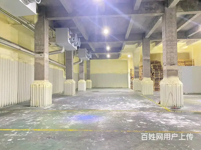 （房东直租）黄兴镇秋江线旁海吉星附近整栋仓库，厂房出租 - 图片 6