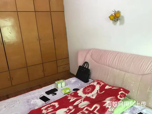 珍珠湖小区 普通住宅1厅 中等装修 - 图片 2