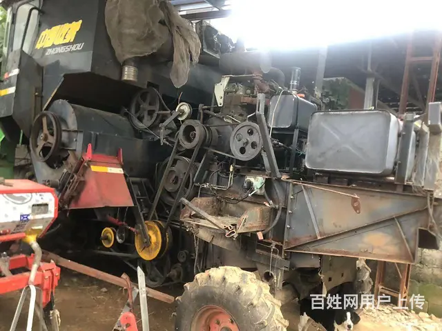 卸磨杀驴 - 图片 5