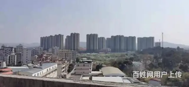 开发商自建自售 无需中介费 8.8万起 即可置业广州 - 图片 4