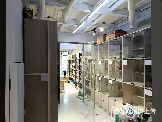（51旺铺推荐）海螺天悦湖畔70平宠物店转让 - 图片 6