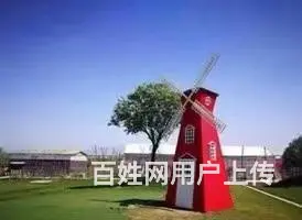 盐城暖场荷兰风车租赁 春季美陈荷兰风车租赁公司 - 图片 11