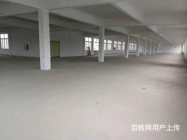斗门珠峰大道旁全新厂房出租 - 图片 4