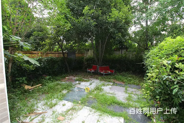 白云深处新上排屋 大花园 户型好 位置佳 - 图片 11