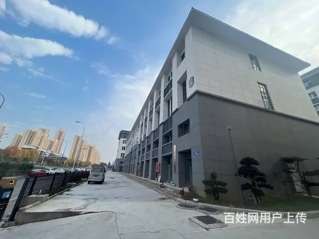 自有全新园区招租 单层独栋 多面积段 业态不限 欢迎咨询看房 - 图片 7