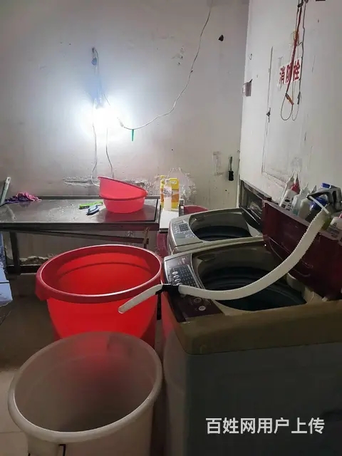 河北大街玉龙湾临街干洗店旺铺转让 - 图片 11