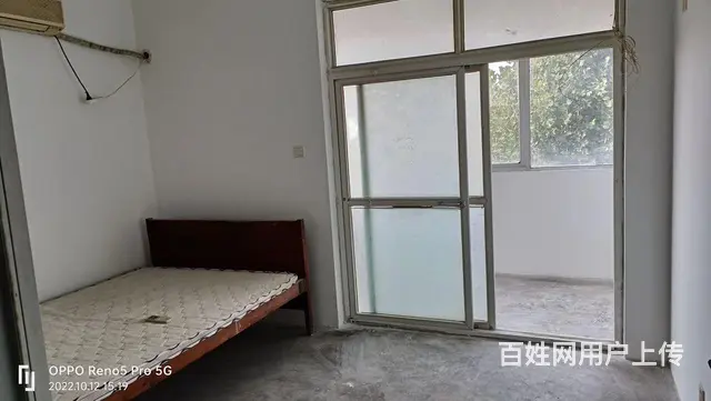 鹿鸣东区出租 - 图片 1