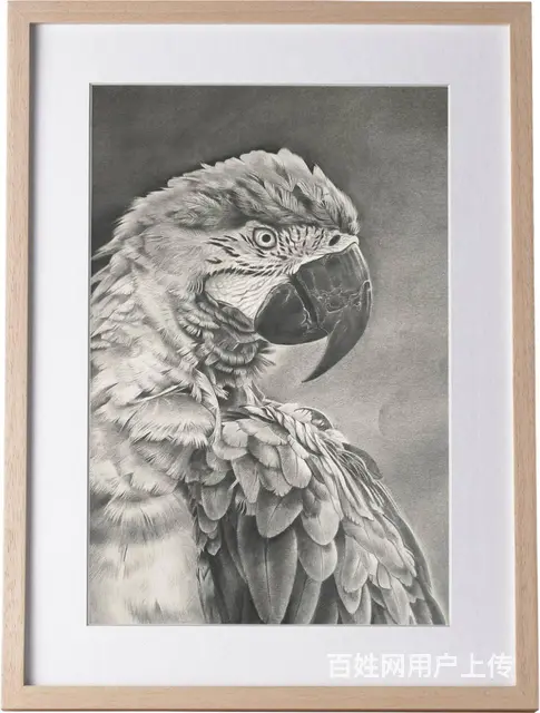 素描基础造型基础风景素描学习杭州华澄教育华艺绘画室 - 图片 10
