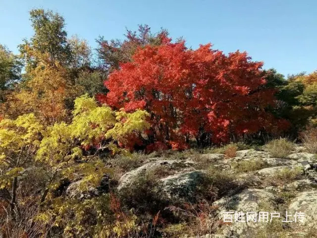 五大连池旅游包车，北安到五大连池旅游包车 - 图片 4