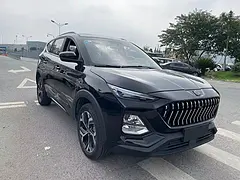 思皓E20X 2020款 心声版