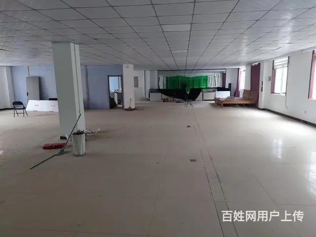 （58）后园花卉市场 适合做仓储 办公电商直播 花草绿植等 - 图片 4