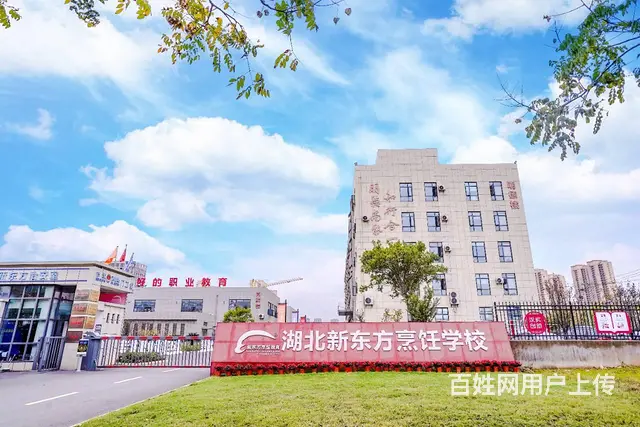 初中毕业上什么技校好，推荐湖北新东方 - 图片 1