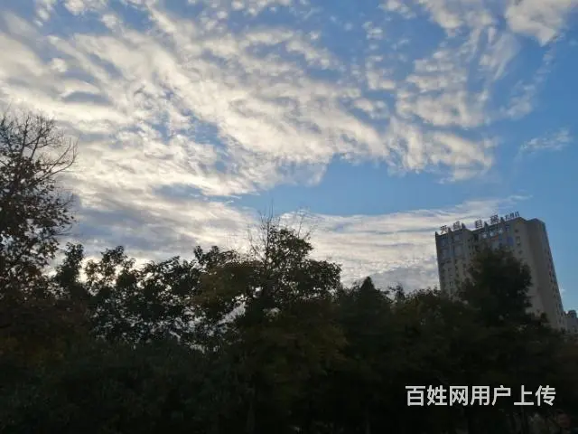 睢宁网站建设,睢宁建网站,睢宁网站设计 - 图片