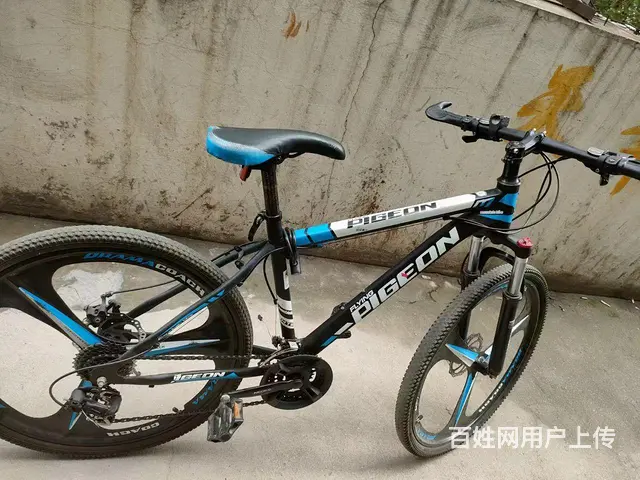 闲置27速山地自行车出售 - 图片 1