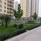 补课班，居住，美容