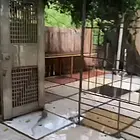 地铁房石围塘小区(荔湾-芳村) 普通住宅 简单装修
