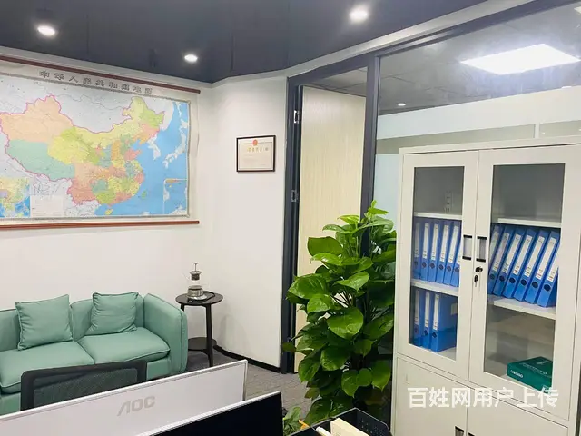 税务代办/咨询：专业财税顾问税务、日常报税、税控机 - 图片 3
