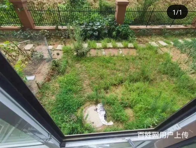 好房子出租 - 图片 1