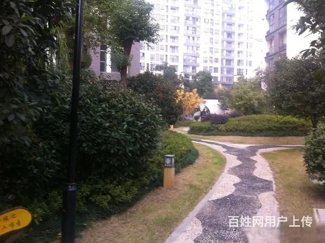 荆川公园旁 教科院 清中 上书房 纯毛坯 楼层采光好 诚售 - 图片 9