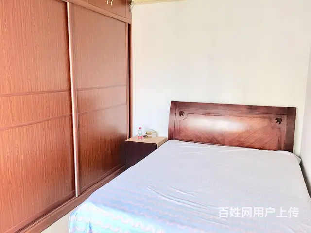 白天鹅花园 3房精装 俱往矣 数风流人物 还看今朝 - 图片 5