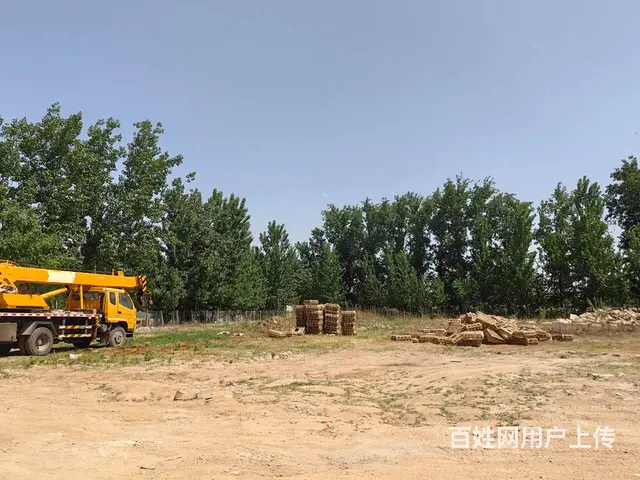（城市在线找房免费）104国道潘塘高速出入口附近土地出租 - 图片 6