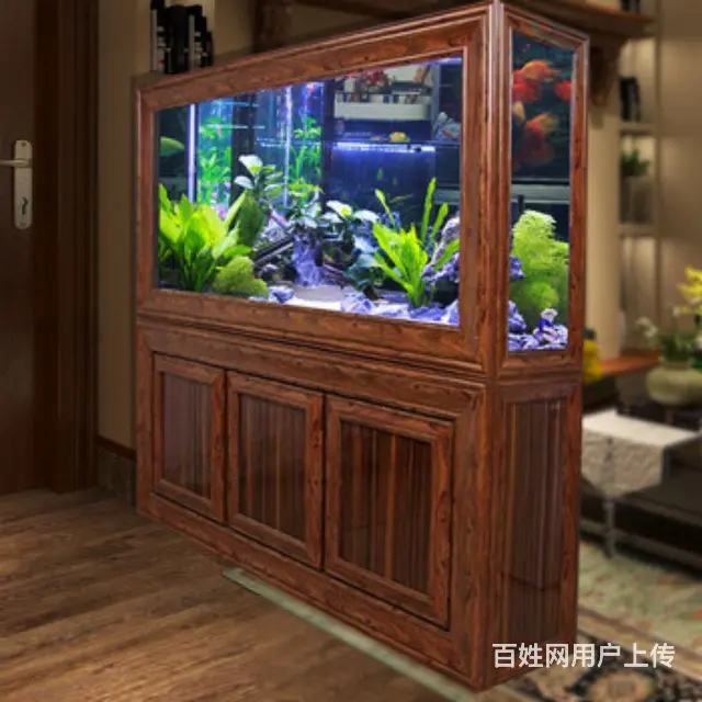 鱼缸清洗，维修，耗材 - 图片 2